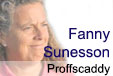 fanny sunesson banner