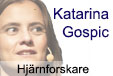 katarina gospic banner