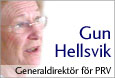 Gun Hellsvik