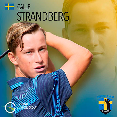 calle strandberg 2019